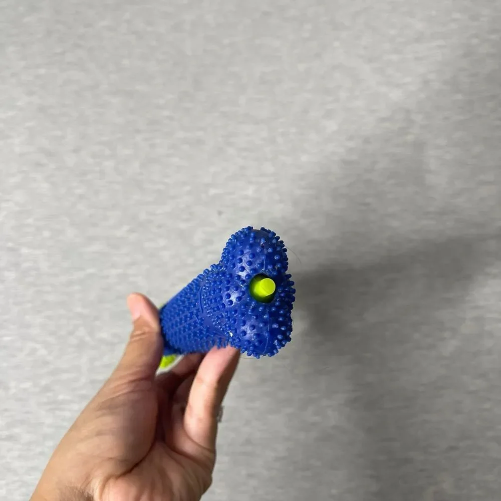 Petco 2-1 Self Toothbrush Chew Dog Toy